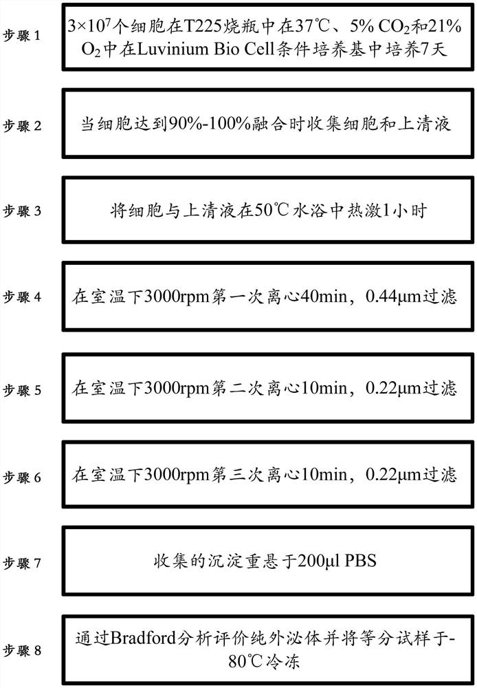 从iPSC及其衍生物制备用于任何临床用途的外泌体的方法