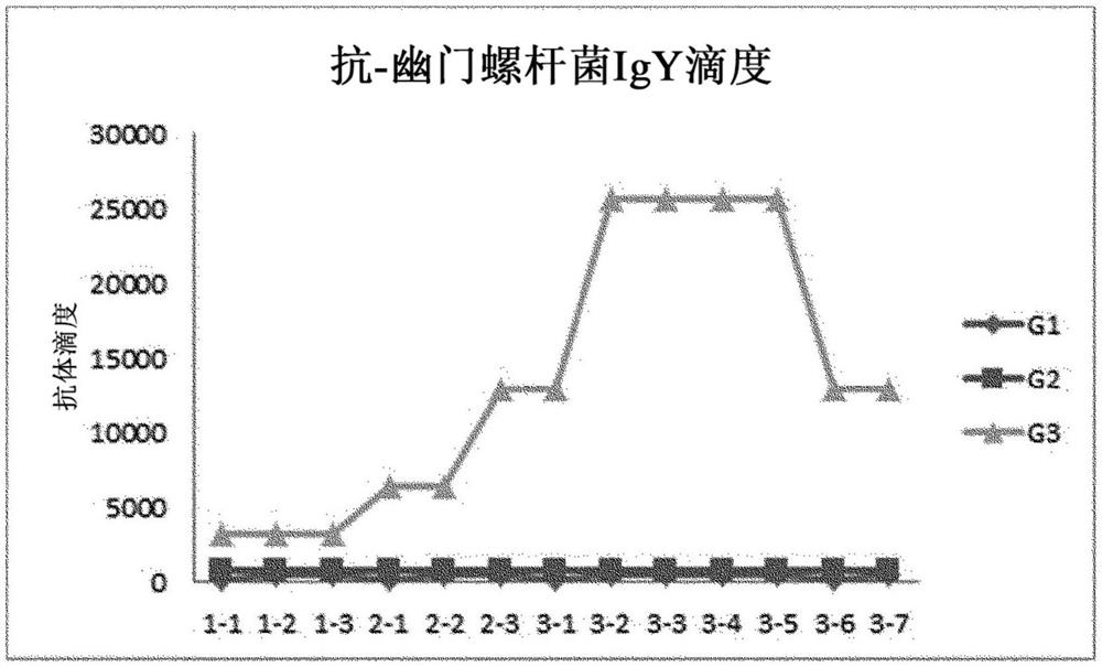 抗幽门螺杆菌卵黄抗体的制备方法