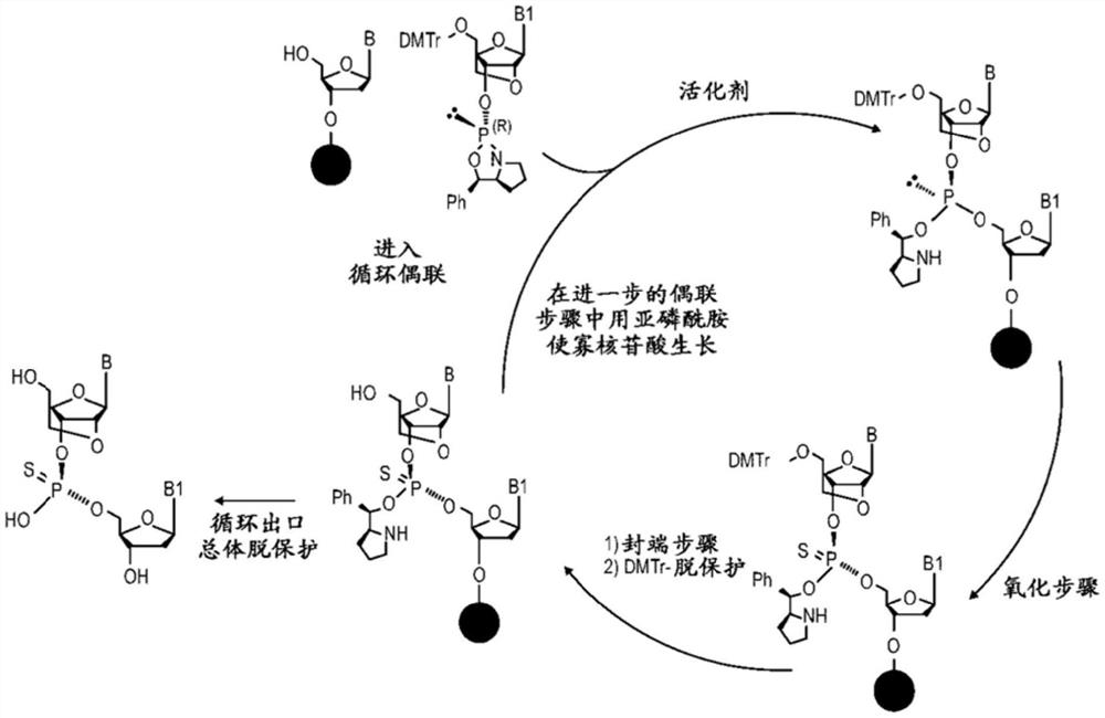 作为立体限定的寡核苷酸合成中的活化剂的吡啶鎓盐