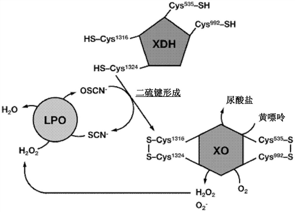 抗病毒剂