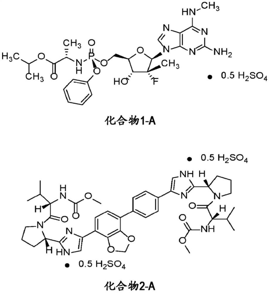 用于治疗丙型肝炎病毒的高活性药物组合