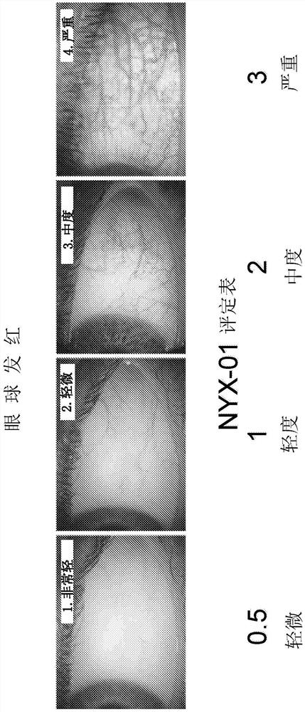 治疗老花眼、散瞳和其他眼部疾病的方法和组合物