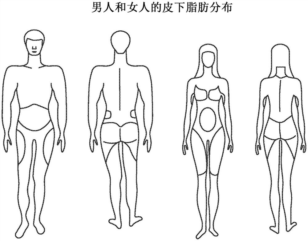 用于减脂的低温溶液