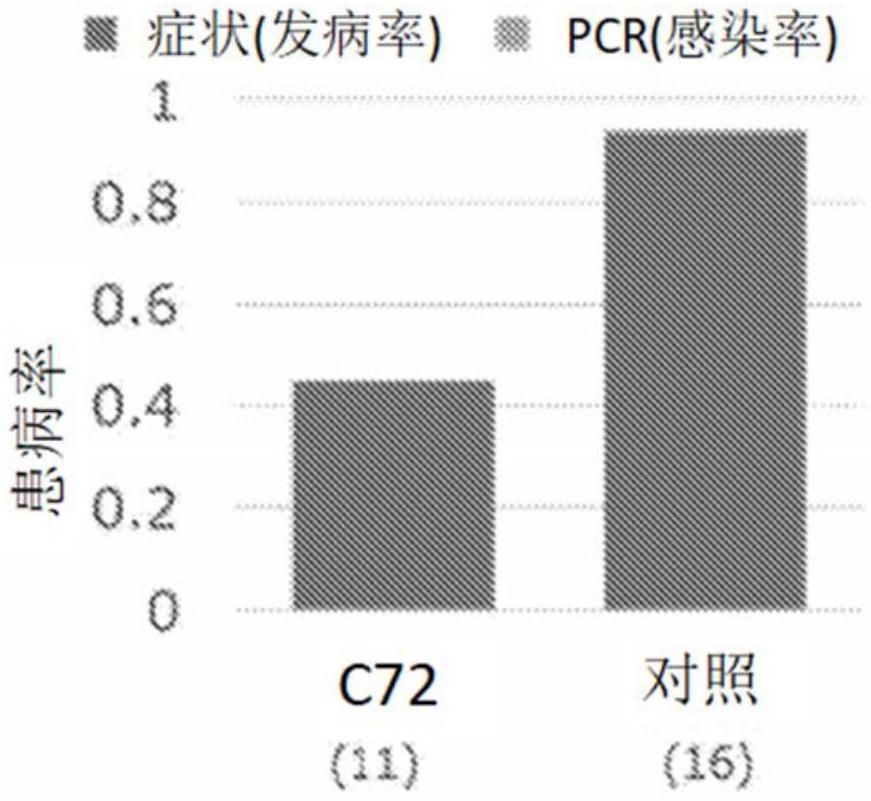 对使番茄呈现黄化曲叶症状的菜豆金色花叶病毒属病毒具有抗性的茄科植物、茄科植物细胞及茄科植物的制作方法