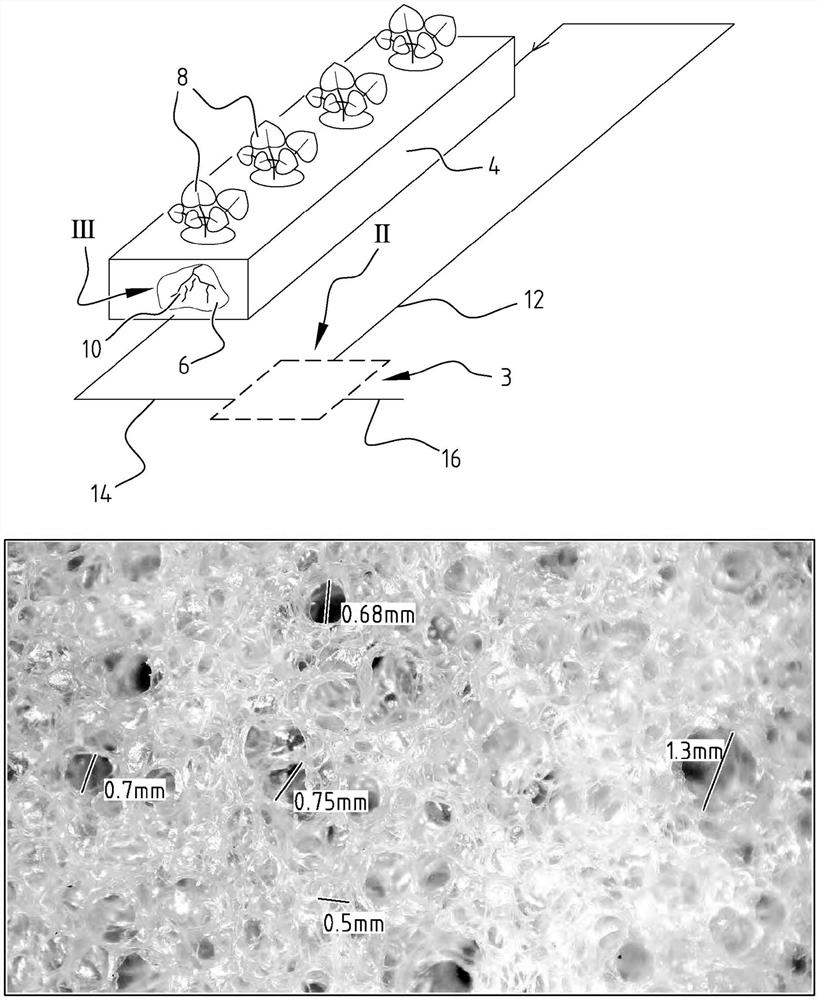 用于植物生长的可生物降解的泡沫基质、随其提供的植物系统以及用于制造此类基质的方法