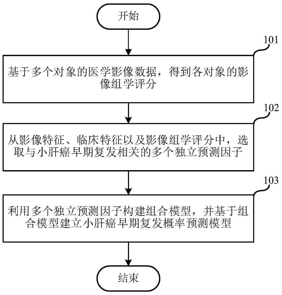 小肝癌早期复发概率预测模型的构建方法与预测方法