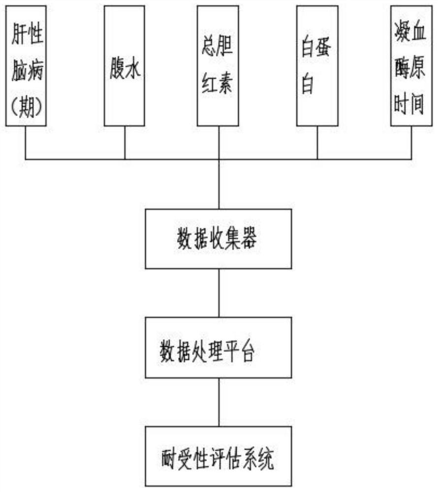 一种用于术前肝功能耐受性分析的评估系统