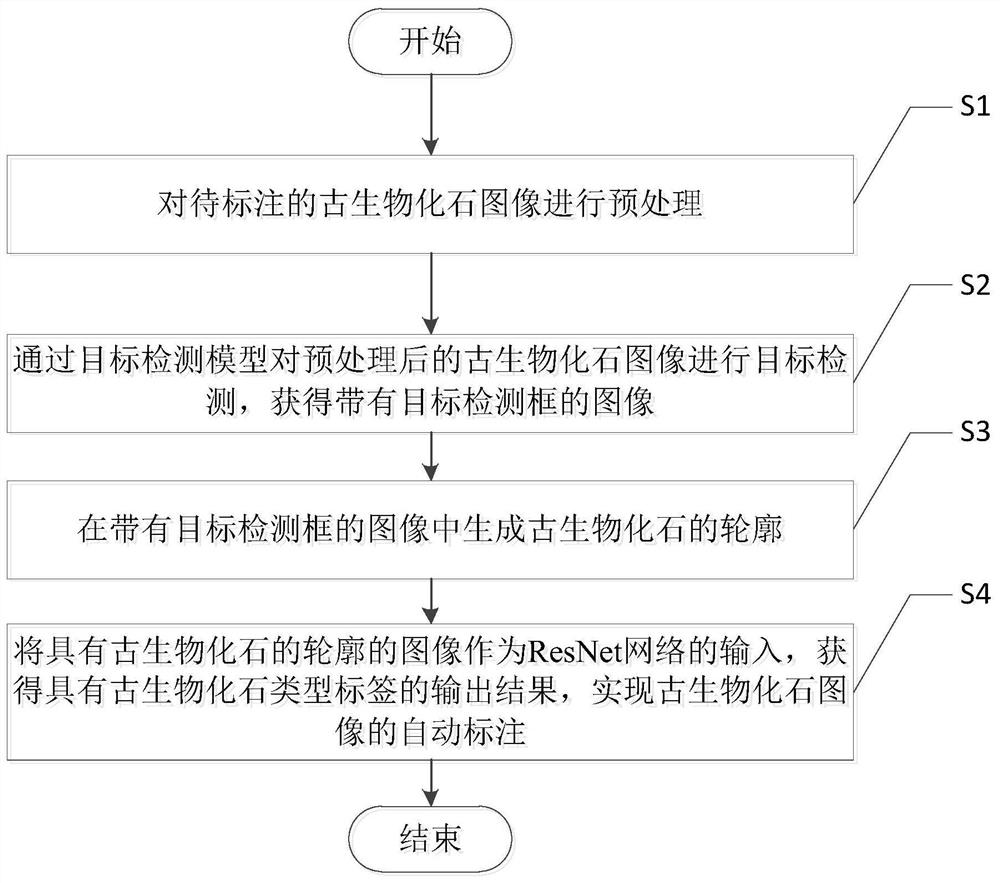 一种古生物化石图像自动标注方法