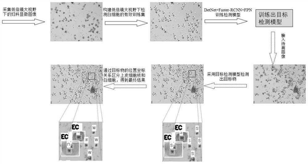 一种妇科显微图像大视野下白细胞的检测识别方法