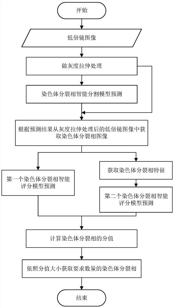 一种从低倍镜图像中寻找染色体分裂相的方法