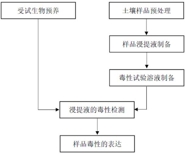 一种利用钩虾进行土壤综合毒性检测的方法