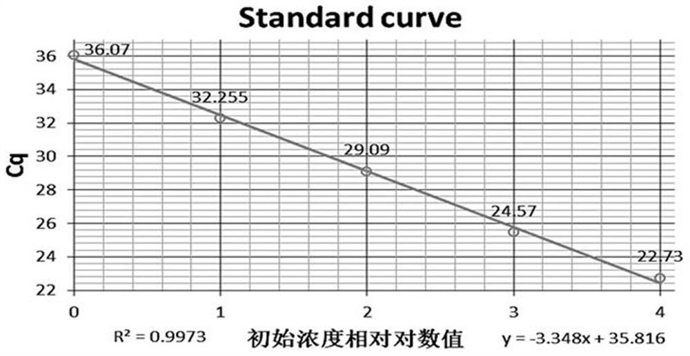 基于陆生环境DNA检测斑翅果蝇的试剂盒及其应用