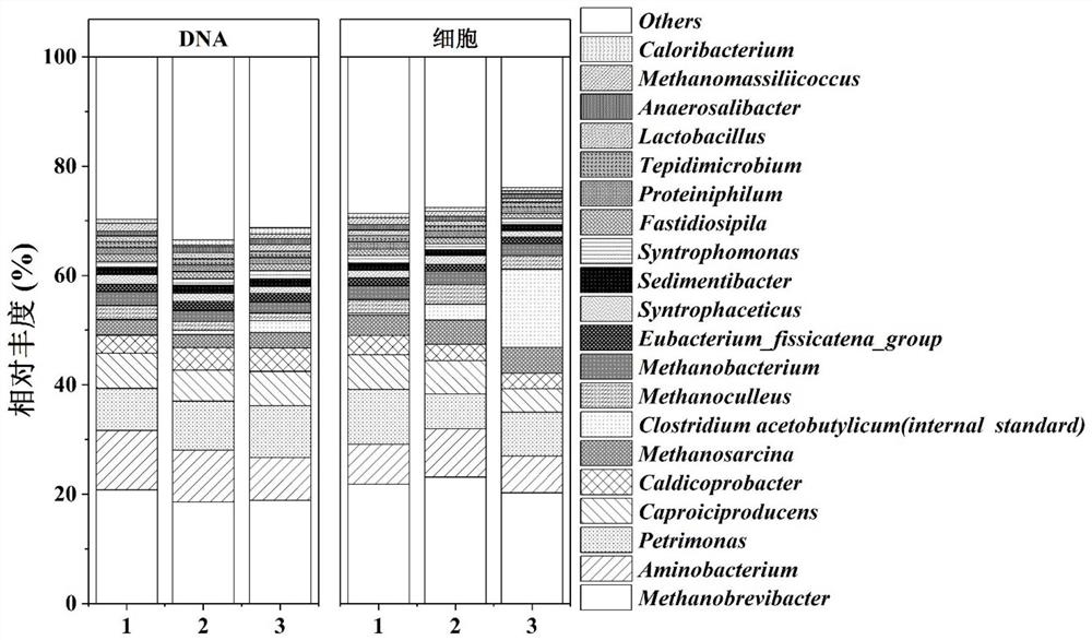 一种可用于分析窖泥微生物群落结构的绝对定量方法