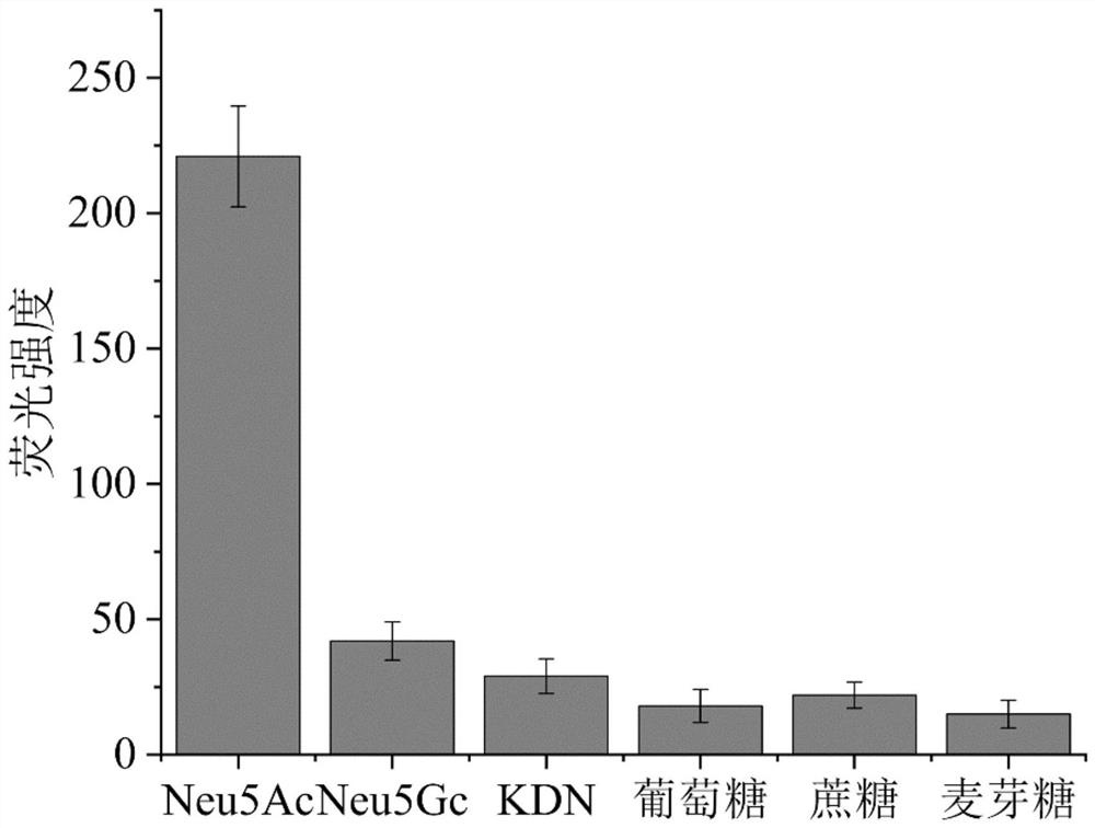 特异性识别N-乙酰神经氨酸的ssDNA适配体及其应用