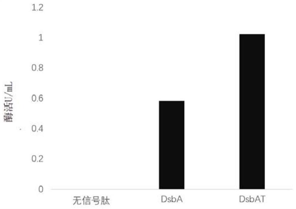 一种右旋糖酐蔗糖酶及其制备方法和应用