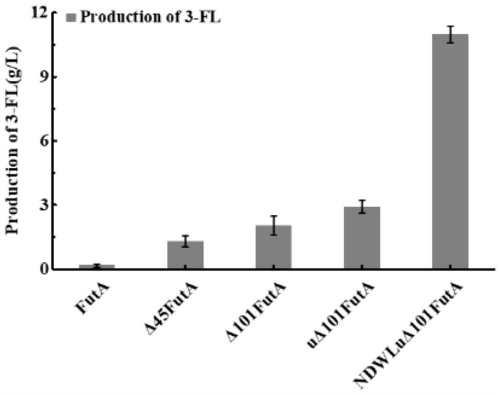 一种α-1,3-岩藻糖基转移酶突变体及利用该突变体制备3-岩藻糖基乳糖的应用