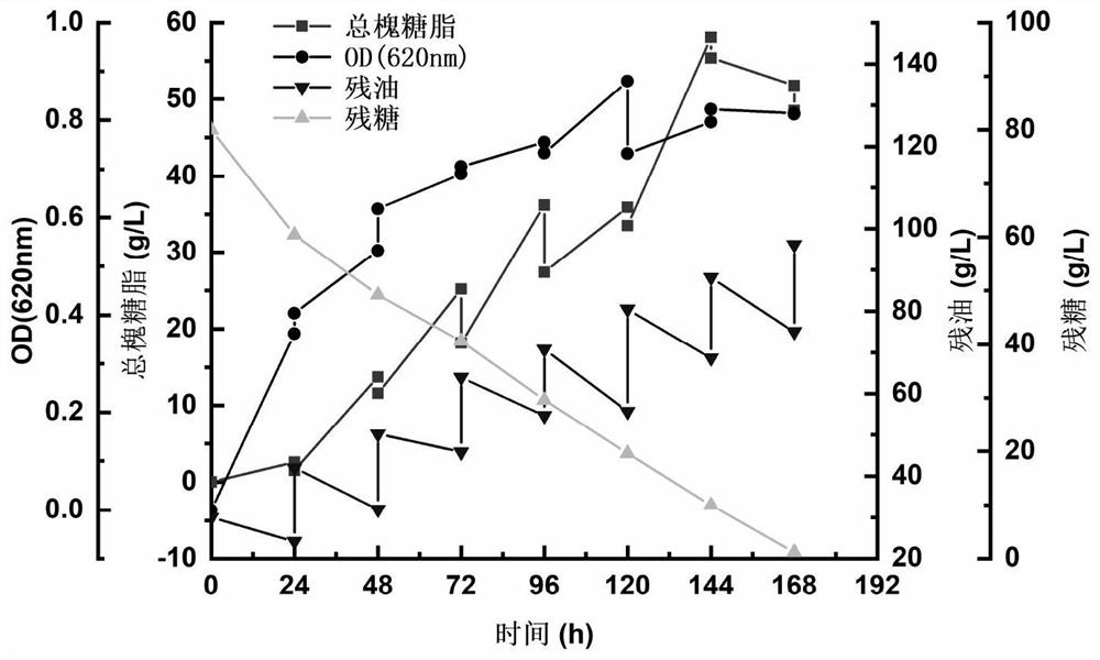 一种高产酸型槐糖脂的补料发酵方法