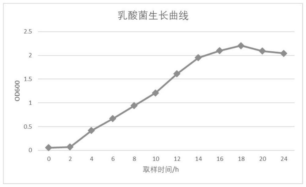 一种乳酸菌复合冻干保护剂及其应用方法