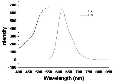 一种红色荧光碳量子点、其制备方法、及荧光探针