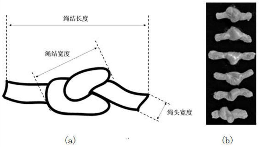 一种高强度可降解的柔性绳结炮眼暂堵剂及其制备、应用
方法