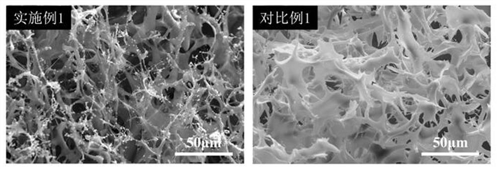 一种氮化硼/豌豆粉双导热基碳气凝胶及其制备方法和应用