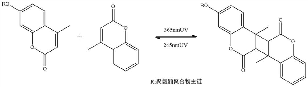 一种紫外响应香豆素控释和自修复的防污涂料的制备方法