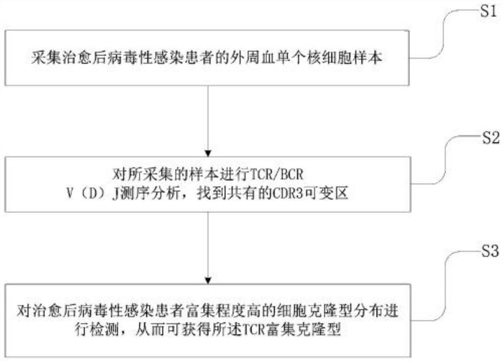 一种TCR富集克隆型及其获取方法与应用