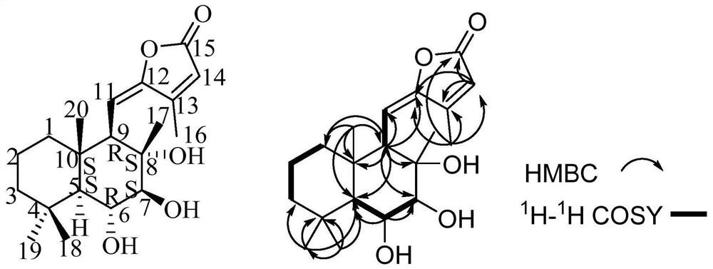 一种半日花烷型二萜类化合物、制备方法及应用