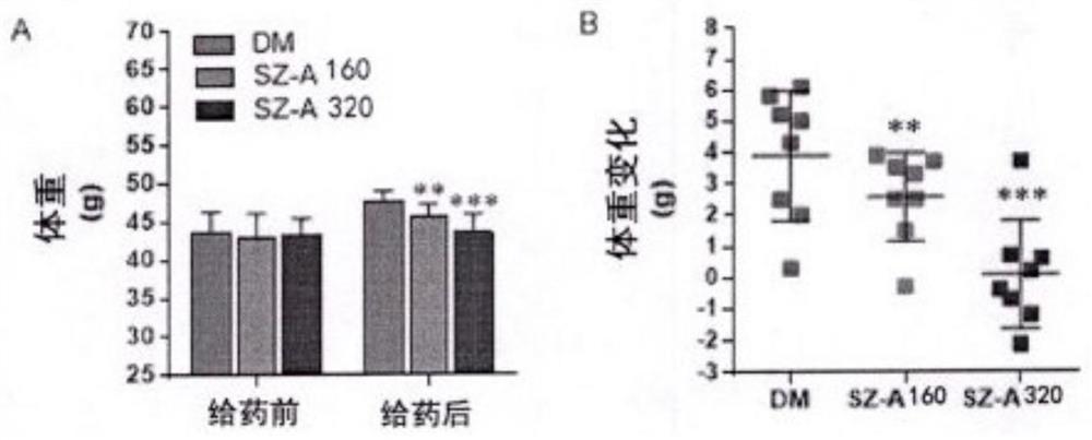 桑提取物在制备减轻动物体重的药物中的应用