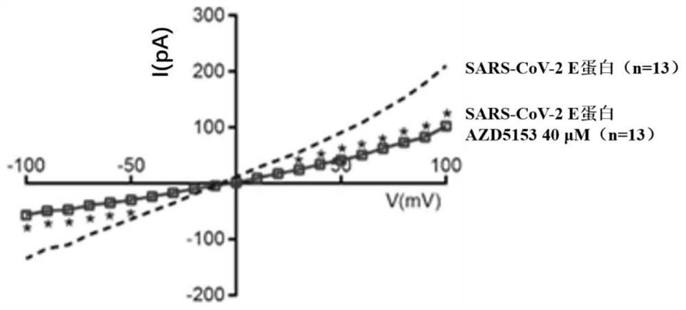 化合物在制备SARS-Cov-2 E蛋白抑制剂中的用途