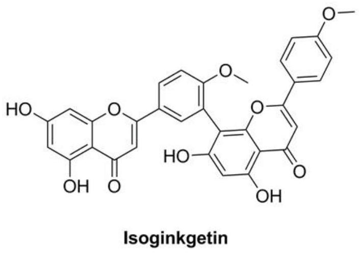 异银杏双黄酮在制备促进肿瘤细胞自噬的抗肿瘤药物中的应用