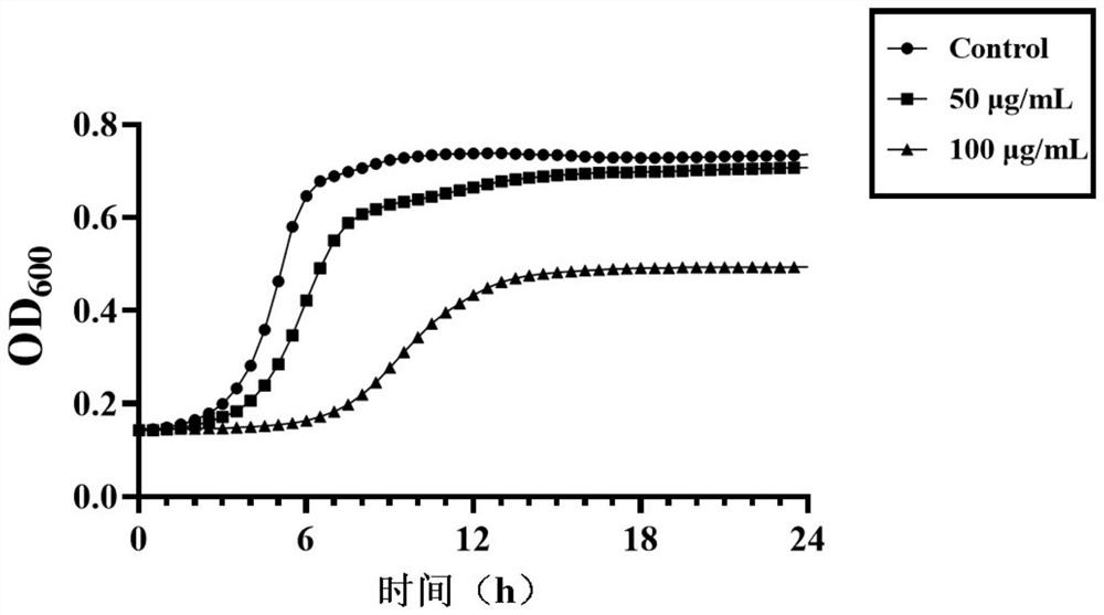 一种鱼腥草素类似物在制备变异链球菌生长及生物膜抑制剂的应用