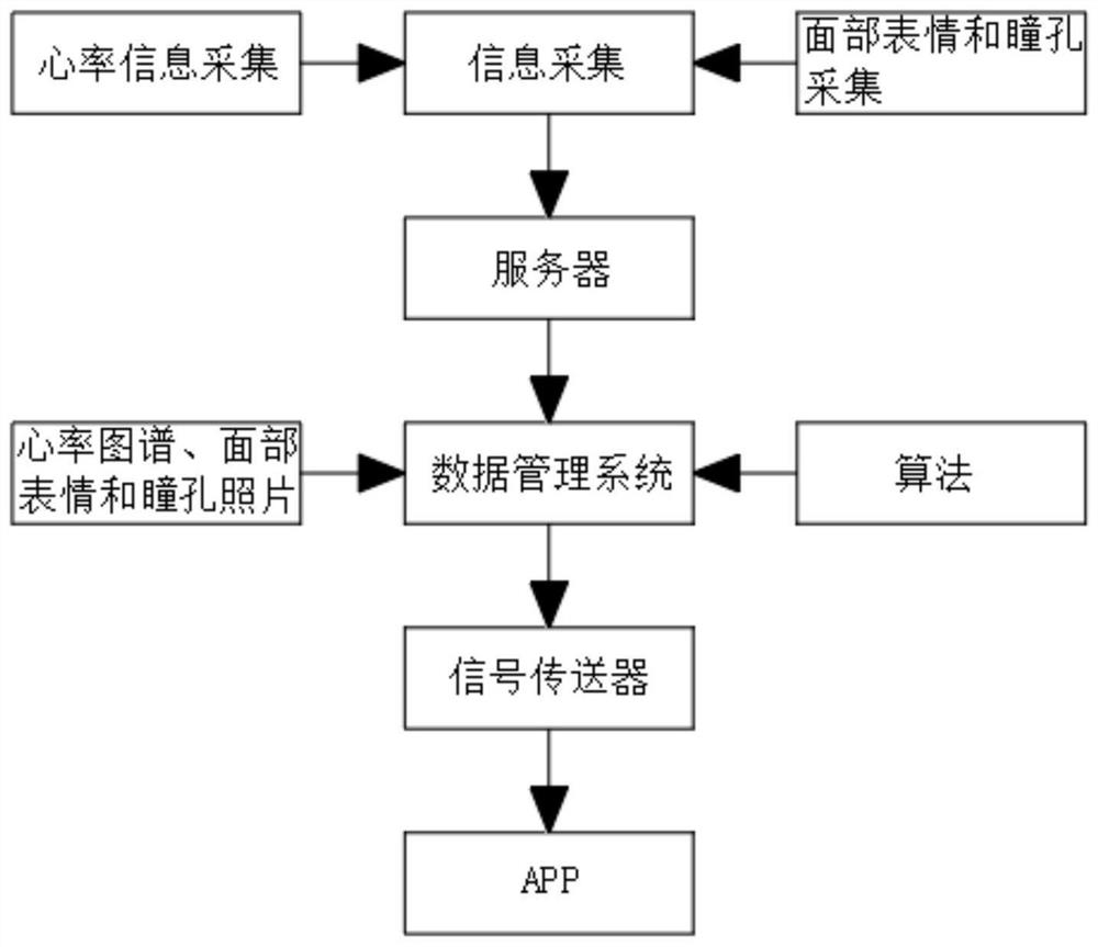 一种疼痛监测系统