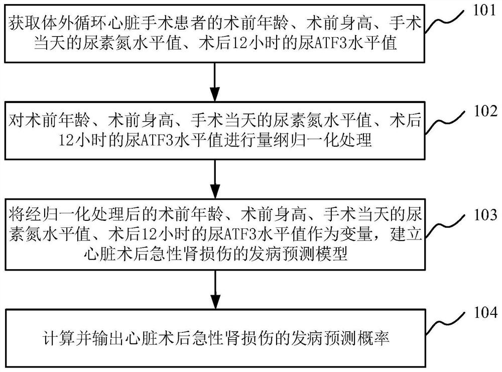 体外循环心脏手术后急性肾损伤早期预警方法及系统