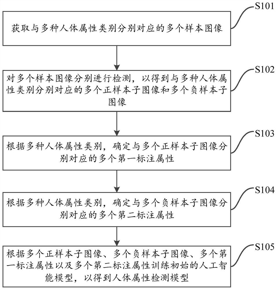 人体属性检测模型的训练方法、装置、电子设备及介质