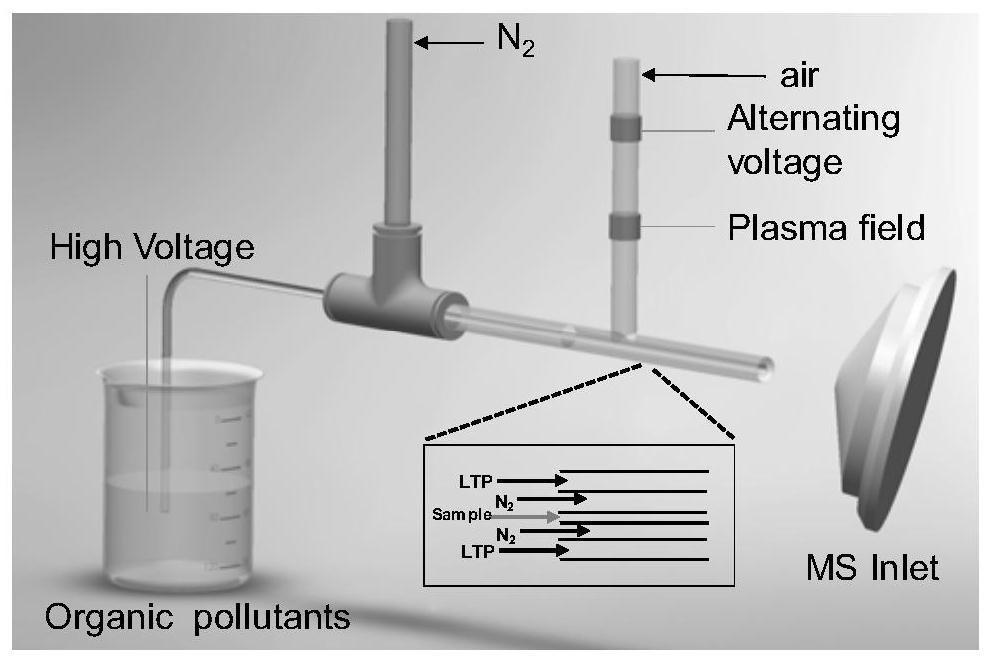 一种毫秒内等离子体加速降解有机污染物的常压质谱在线监测系统
