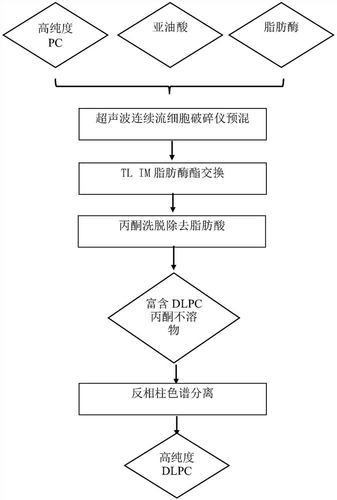 一种酶法改性联合反相柱色谱分离制备高纯度二亚油酰磷脂酰胆碱的方法和其产物