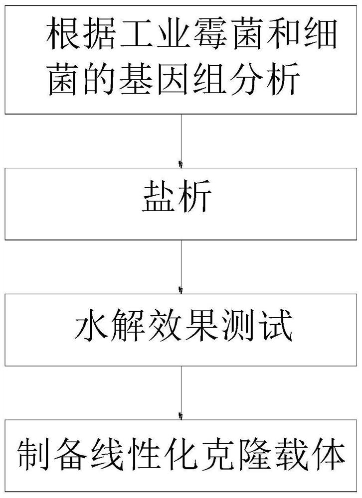 一种高效水酶的克隆技术应用方法