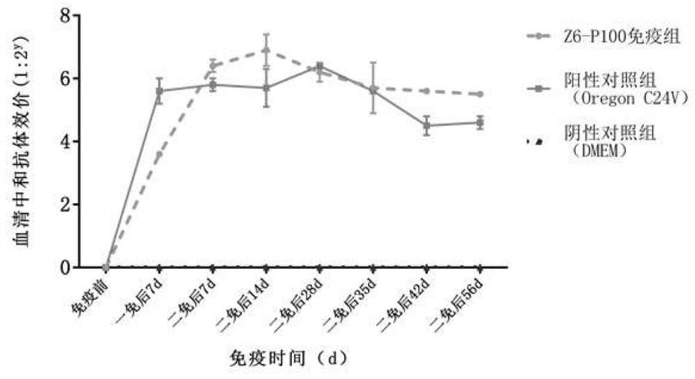 一种牛病毒性腹泻病毒弱毒株及其用途