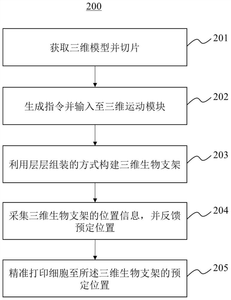 一种细胞精准定位的生物打印系统及方法