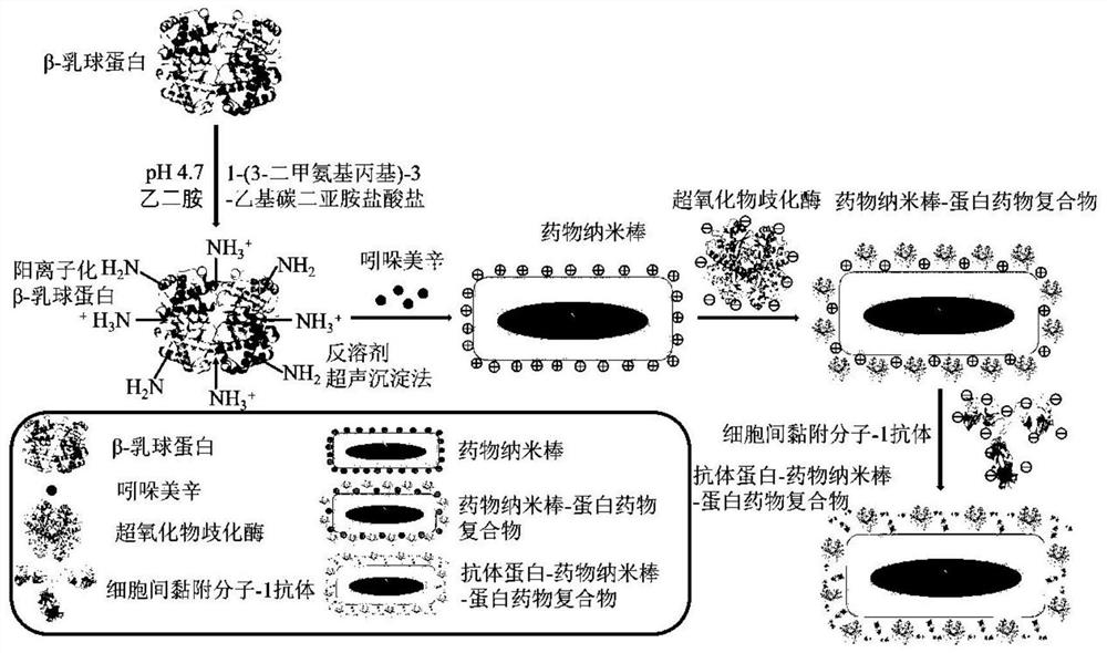 一种用于治疗急性肺损伤的复合物及其制备方法与应用