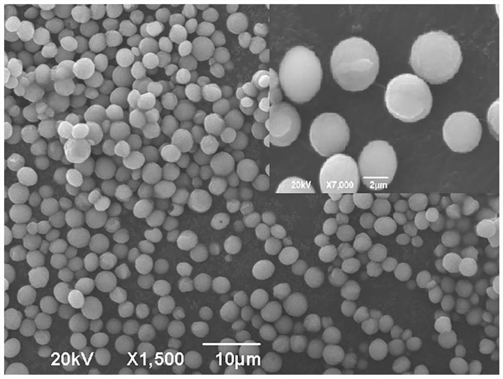 蛋黄磷脂酰胆碱/碳酸钙复合微球的制备及其作为药物载体的应用