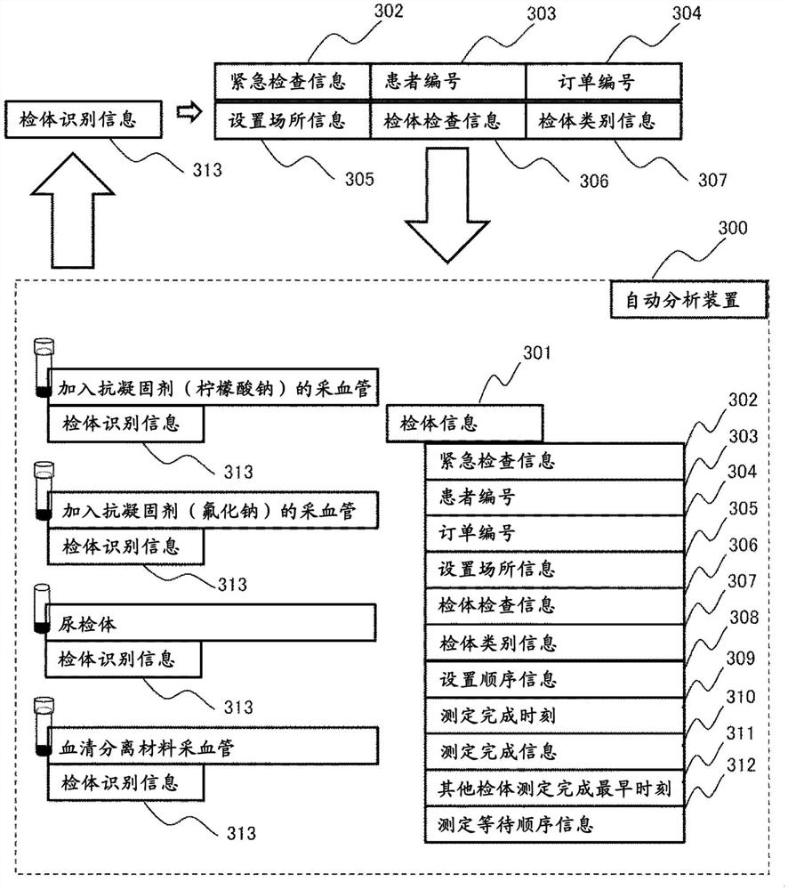 自动分析装置以及分析方法