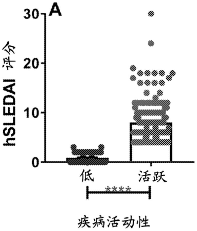 表征疾病活动性的系统性红斑狼疮(SLE)疾病活动性免疫指数的生物标志物