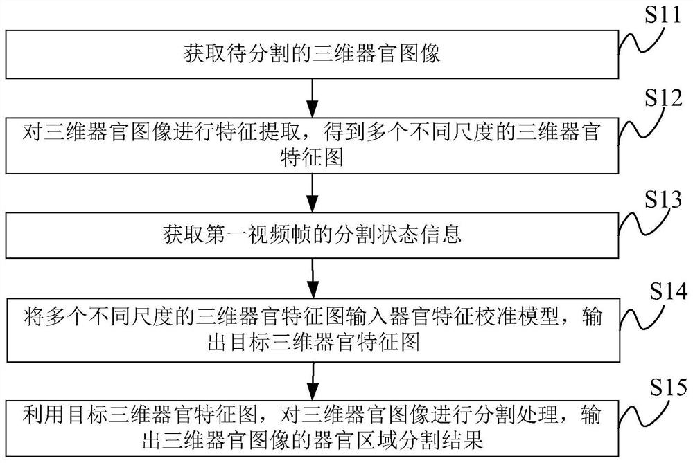 三维器官图像分割方法、装置及计算机设备