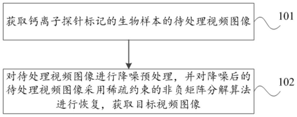 基于非负矩阵分解的深层双光子钙成像方法和装置