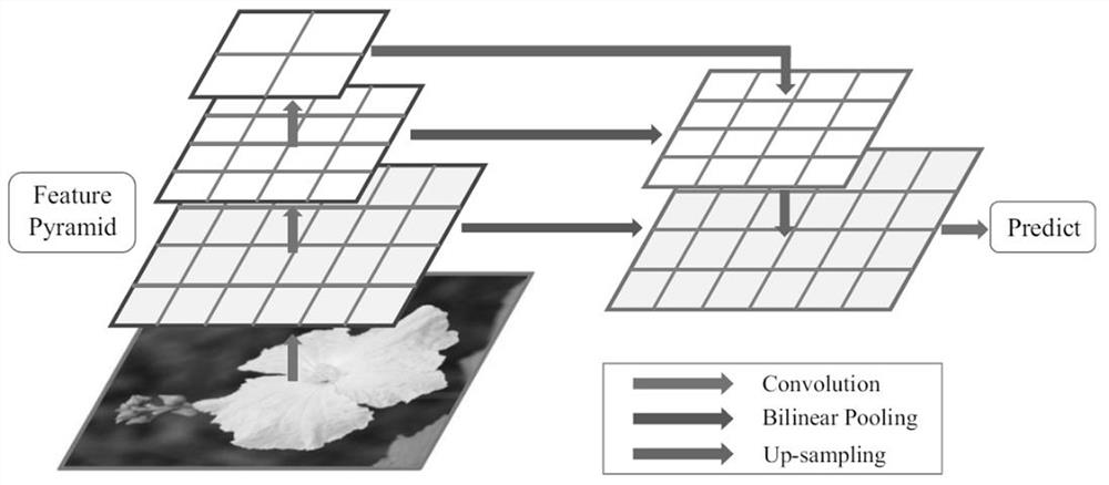 一种双线性金字塔网络花卉图像分类方法