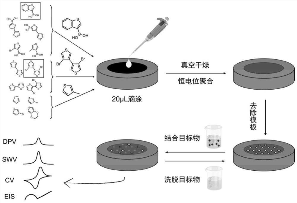 一种分子印迹传感器的制备方法及其所得产品与应用