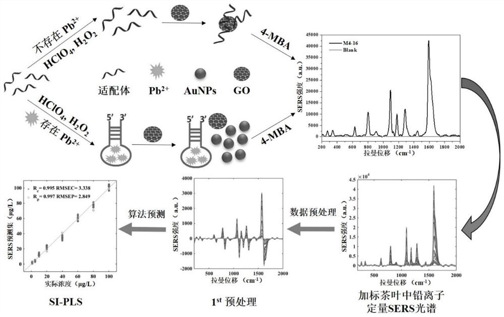 一种食品中重金属铅的SERS特异性快速检测方法