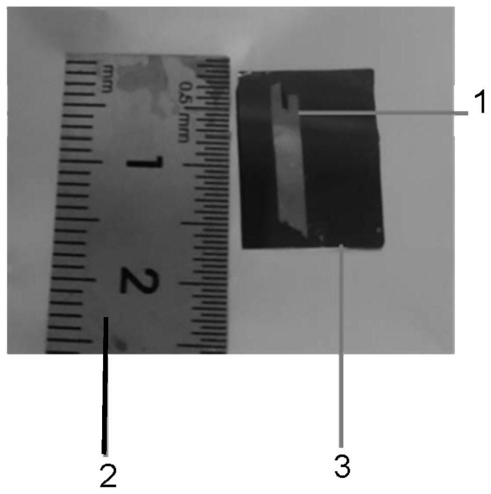 一种厘米级三氧化钼单晶的制备方法
